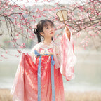 女童齐胸襦裙汉服 - 大袖衫披帛